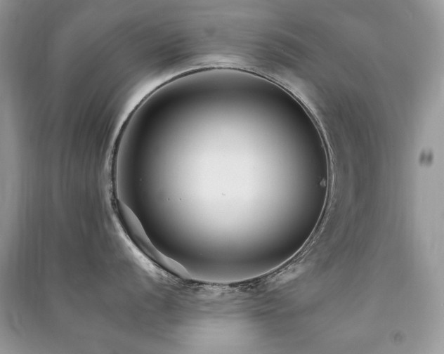 X0000091221056200708091404