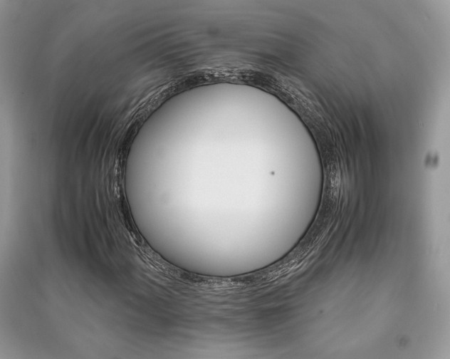 X0000091221060200708091404
