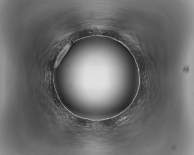 X0000091221061200708091404