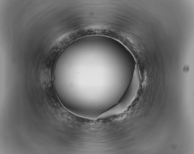 X0000091221062200708091404