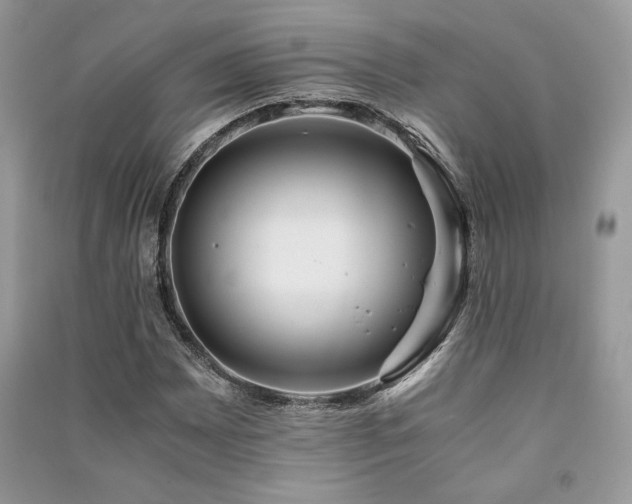X0000091221065200708091403