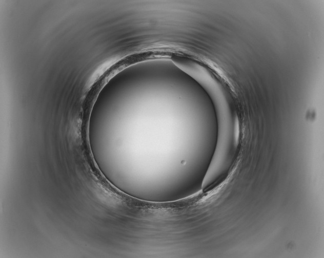 X0000091221066200708091403