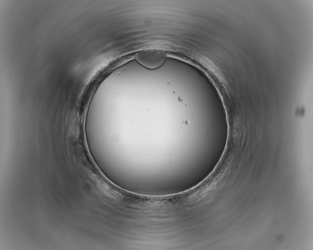 X0000091221067200708091403