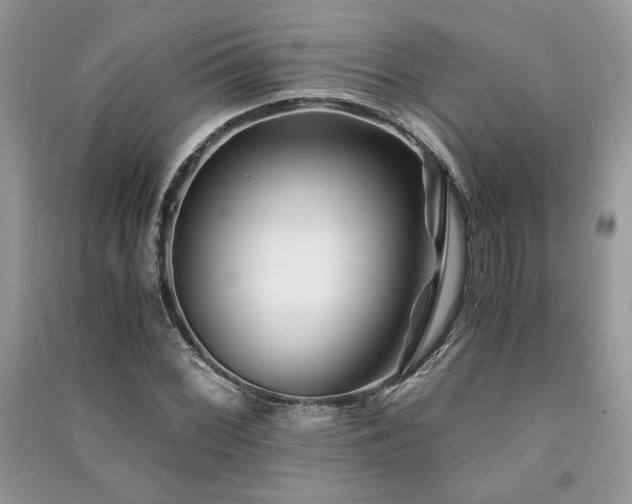 X0000091221068200708091403