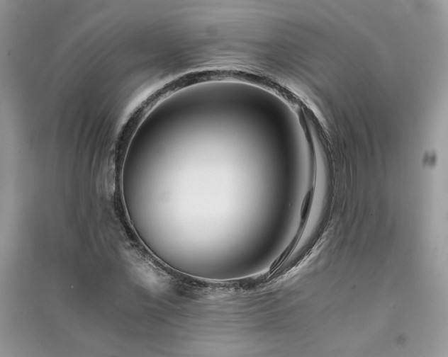 X0000091221069200708091403