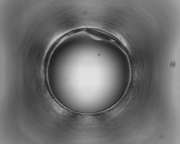 X0000091221072200708091403