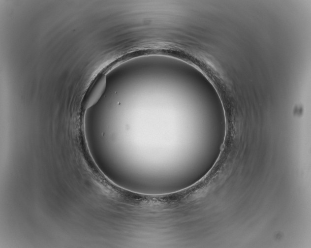 X0000091221073200708091403
