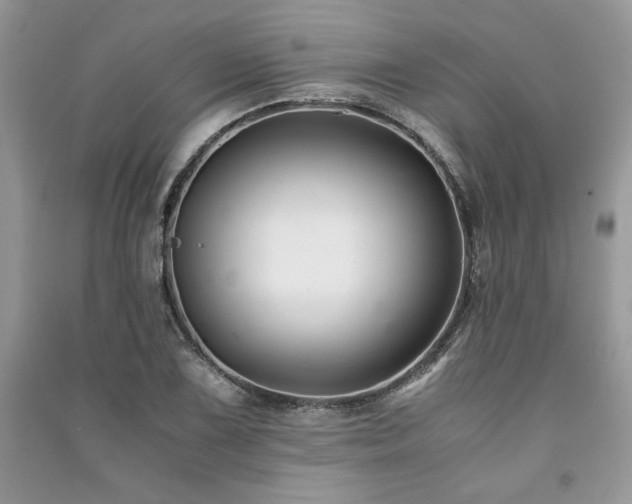 X0000091221075200708091403