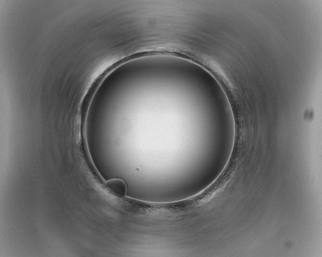 X0000091221079200708091403