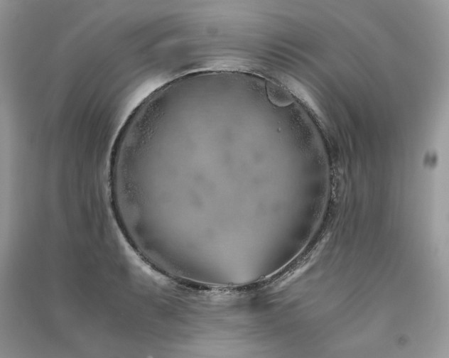 X0000091221087200708091403