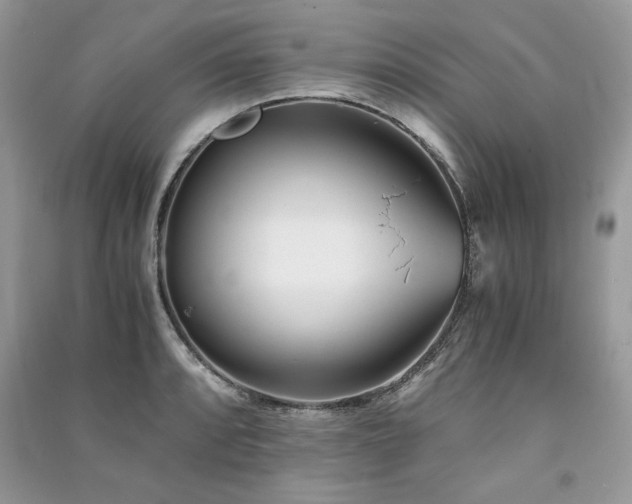 X0000091221088200708091403