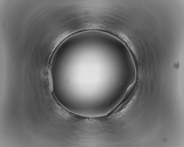 X0000091221089200708091403