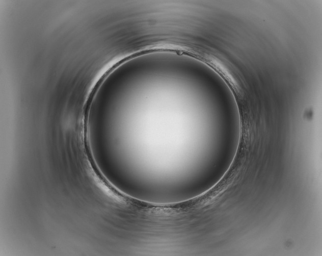 X0000091221092200708091403
