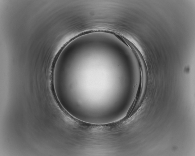 X0000091221093200708091403
