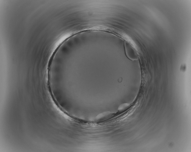 X0000091221095200708091403