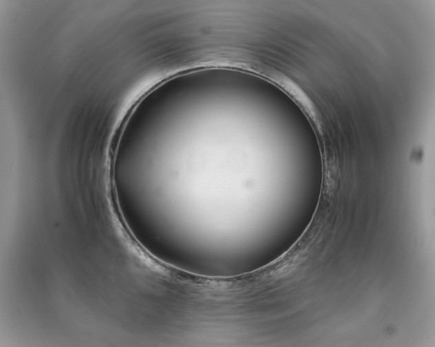 X0000091221096200708091403