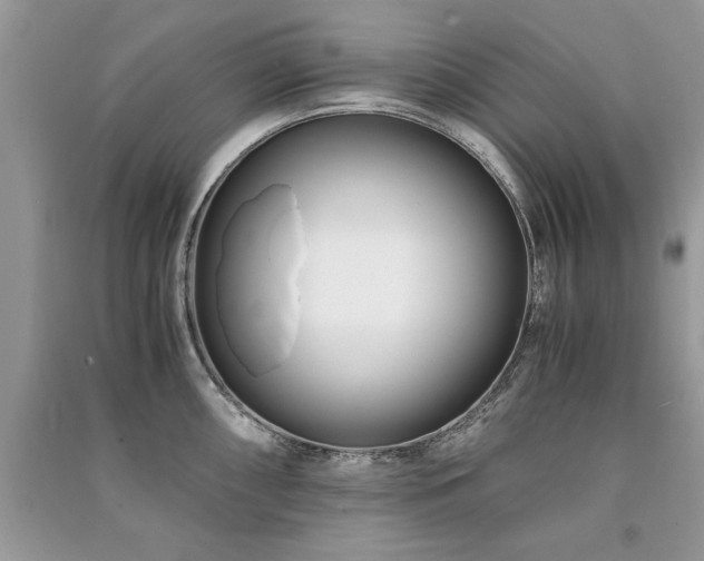 X0000091221098200708091403