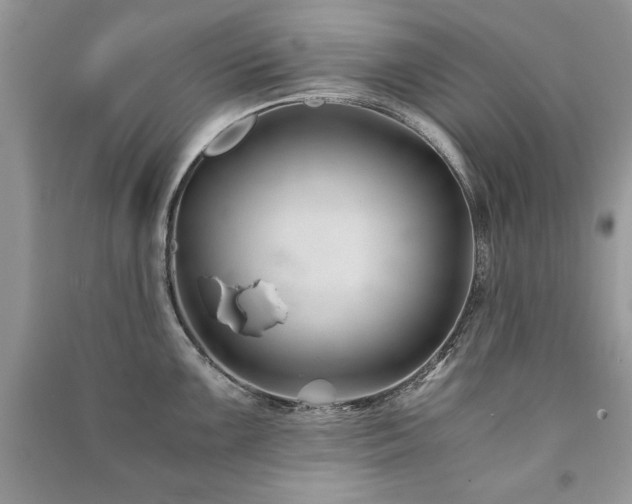 X0000091221099200708091403