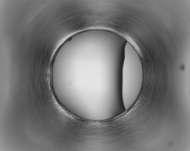 X0000091221100200708091403