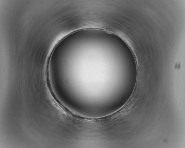 X0000091221104200708091403
