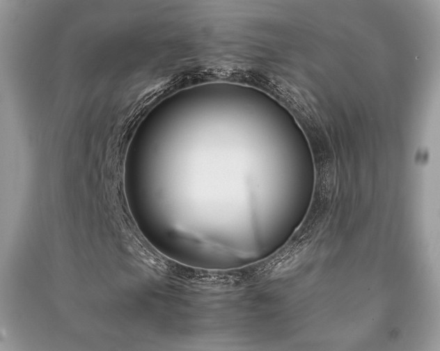 X0000091221105200708091402