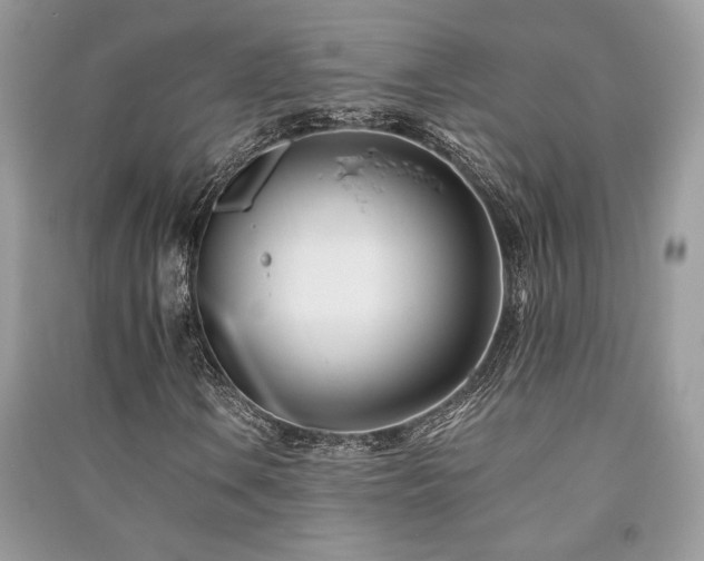 X0000091221106200708091402