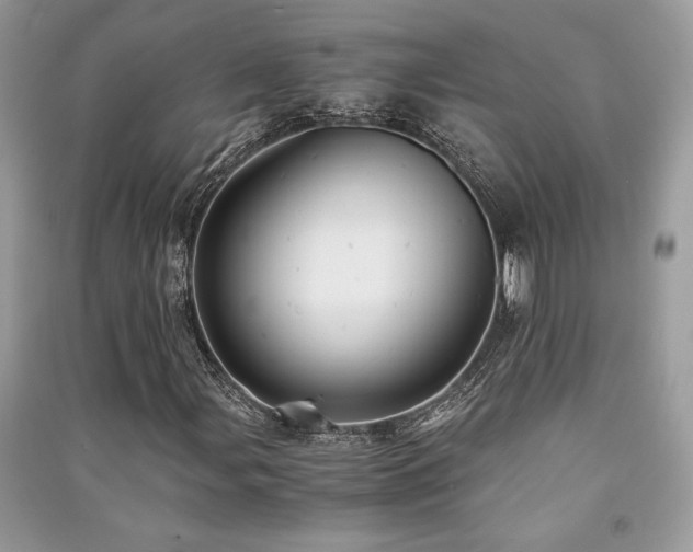 X0000091221107200708091402