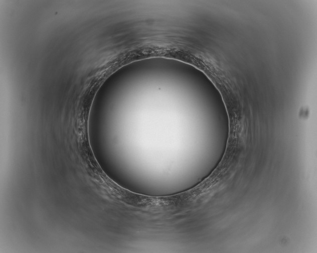 X0000091221109200708091402