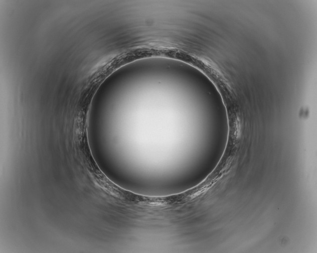 X0000091221110200708091402