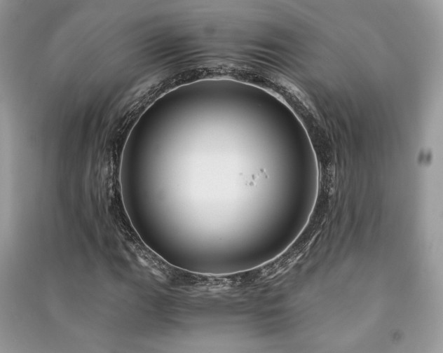 X0000091221111200708091402