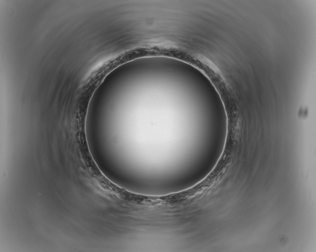X0000091221112200708091402