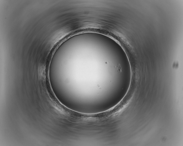 X0000091221113200708091402