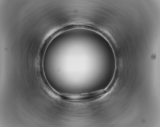 X0000091221114200708091402