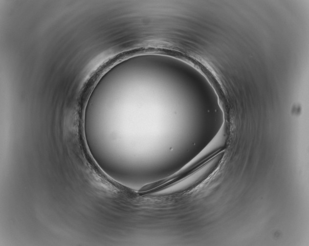 X0000091221115200708091402