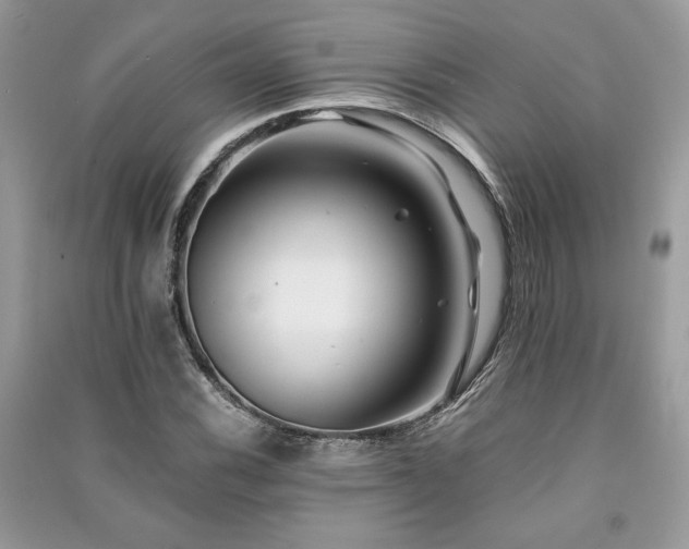 X0000091221116200708091402
