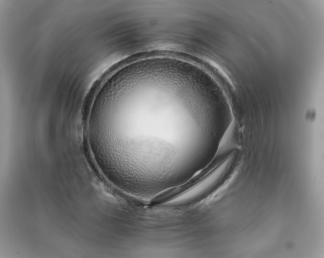 X0000091221117200708091402