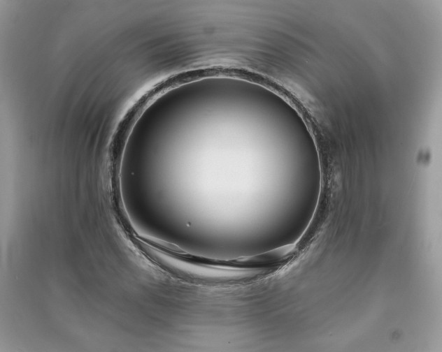 X0000091221118200708091402