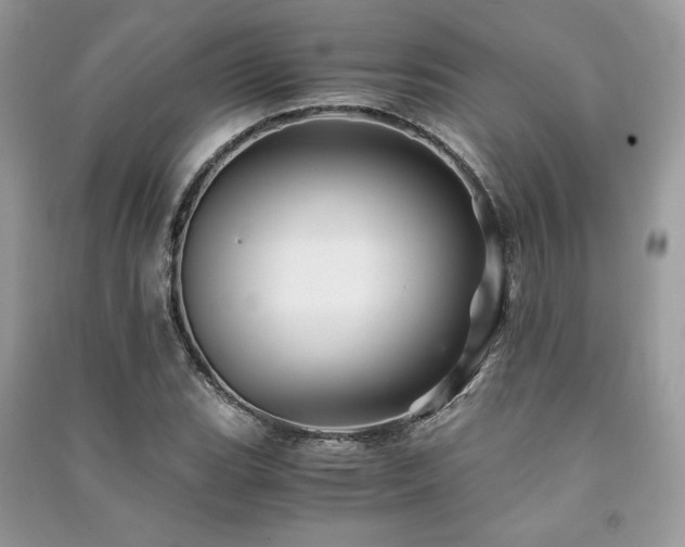 X0000091221119200708091402
