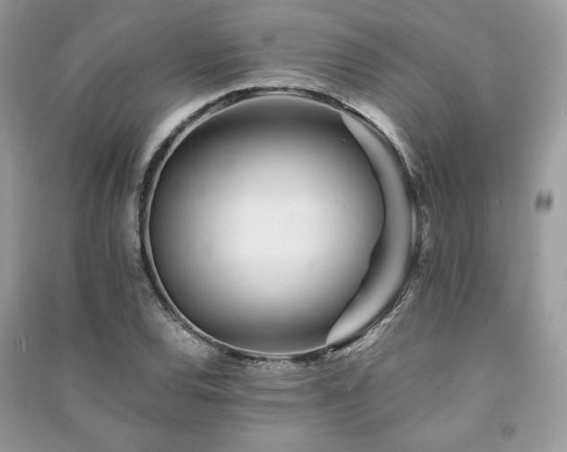 X0000091221120200708091402