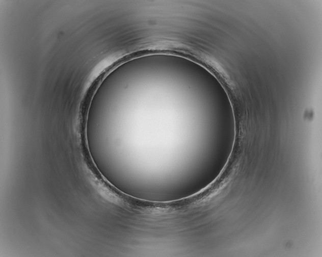 X0000091221122200708091402