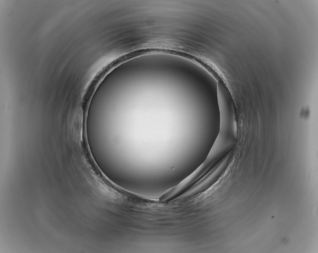 X0000091221123200708091402