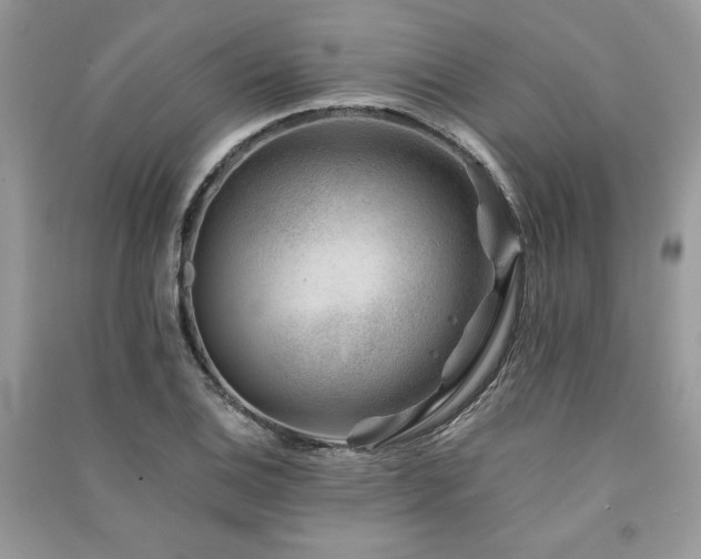X0000091221124200708091402