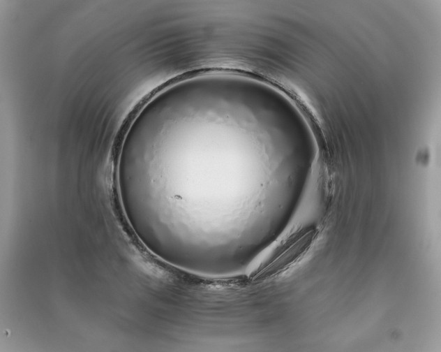 X0000091221125200708091402