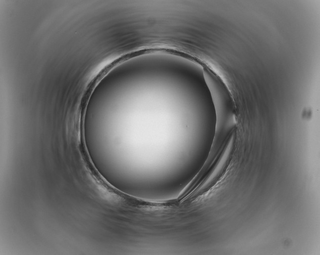 X0000091221127200708091402