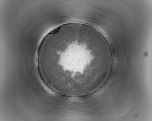 X0000091221128200708091403