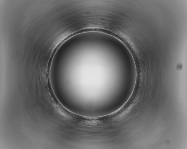X0000091221129200708091403