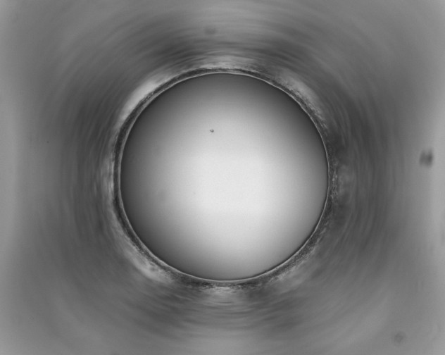 X0000091221130200708091403