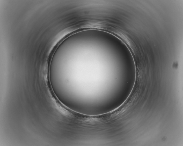 X0000091221131200708091403