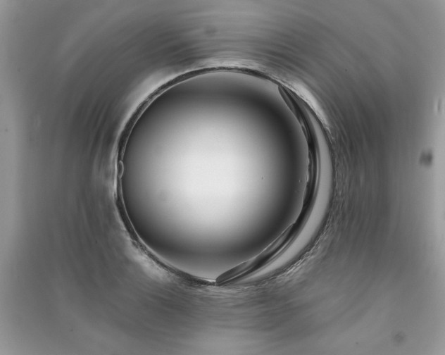 X0000091221132200708091403
