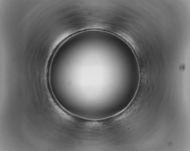 X0000091221135200708091403